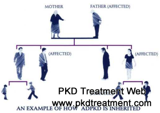 How Is PKD Inherited