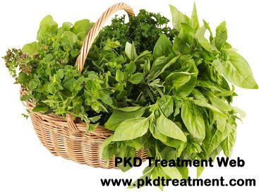 Herbal Treatment for Polycystic Kidney Disease (PKD)