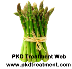 Is Asparagus Good for People with Kidney Failure