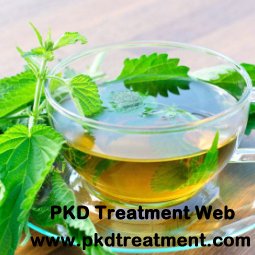 Is Nettle Leaf Beneficial in Lowering Creatinine