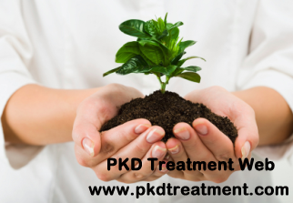 Natural Management for Polycystic Kidney Disease (PKD)