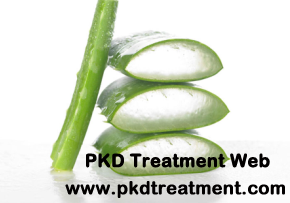 Aloe Vera Juice: A Good Kidney Cleaner for PKD Patients