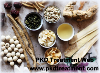 Is Kidney Damage Reversible for Polycystic Kidney Disease (PKD)