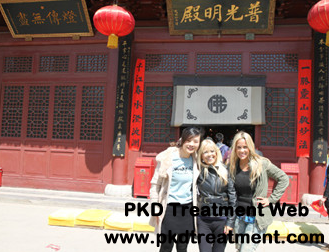 A PKD Patient from Argentina: Amazing Travel to Zhaozhou Bridge