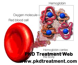 How to Improve Hemoglobin in Dialysis Patients