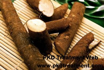 Is Burdock Root Good for PKD Patients