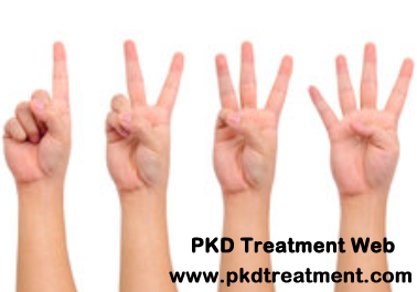 What are the Stages of Kidney Failure