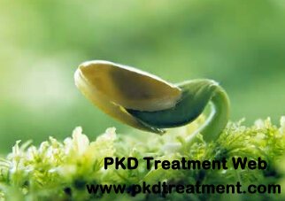 Latest Breakthrough in Combating ADPKD