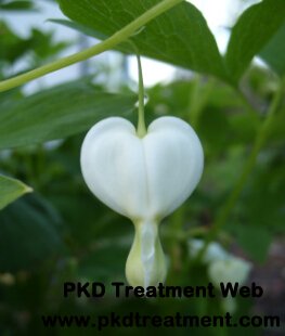 Natural Therapy to Avoid Dialysis