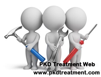 Can Damaged Kidneys Be Repaired for PKD Patients