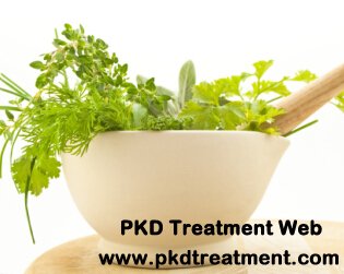 Which Herbs Can Remove Protein From Urine in Kidney Failure