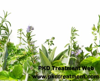 Can A Patient Get Rid of Dialysis with Herbal Treatment