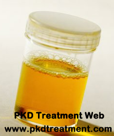 What Causes Proteinuria In PKD