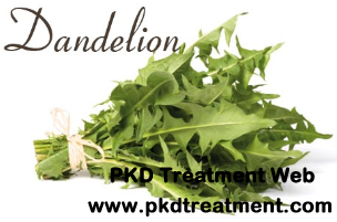 Herbs Good for Polycystic Kidney Disease