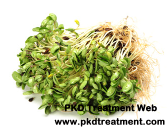 Is Black Bean Sprouts Good for PKD Patients