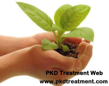 Self-care for Kidney Cyst Patients