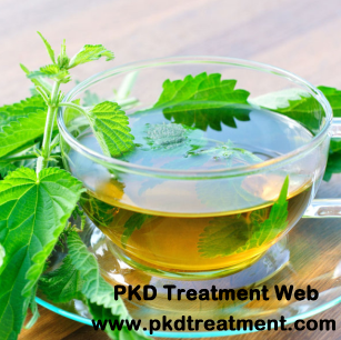 What Are the Benefits of Nettle Tea for PKD Patients