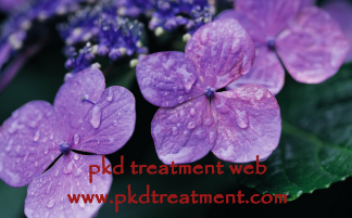 Herbs for Polycystic Kidney Disease