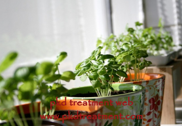Foods and Herbs That Can Lower the High Ceatinine Level