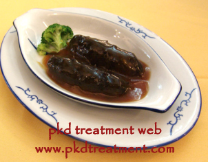 Is Sea Cucumber Good for Kidney Failure Patients