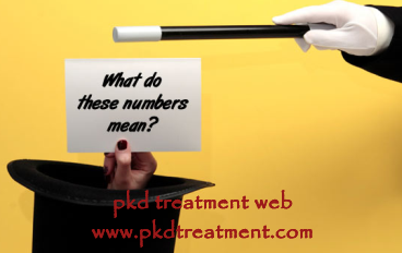 What Does 25% of Kidney Function Left Mean in Kidney Failure