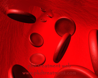 How Does Clear Blood Pollution Therapy Work on Kidney Failure