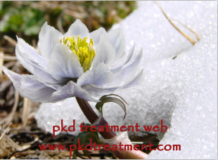 Remedy To Disolve Cysts in Both Kidneys without Surgery