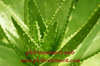 Is Aloe Vera Good For High Creatinine Condition