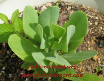 Is There A Herbal Medication To Control Kidney Cyst 8cm
