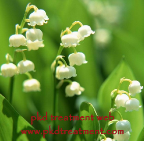 What Herbs Help Eliminate Cysts On Kidneys