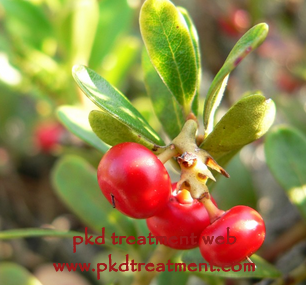 Top 2 Natural Treatments For Polycystic Kidney Disease