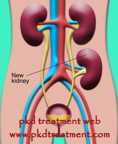 The Difficulties And Shortcomings Of Kidney Transplant