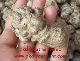 Is Sanchi Powder Good for Kidney Failure Patients