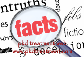 Some Facts of PKD That You Should Know