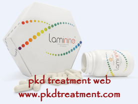 Does Laminine Help Patients With Kidney Failure