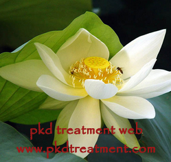 Is There Any Way To Treat PKD Besides Dialysis