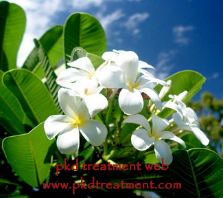 How To Treat Kidney Failure Without Kidney Transfer