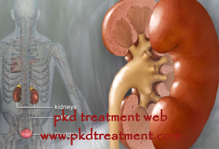 Kidney Measure 6.8 cm: Is It Dangerous for Patients