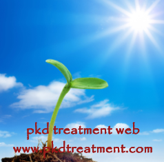 How to Prevent Kidney Disease in Daily Life
