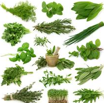 How to Stabilize Creatinine 2.1 
