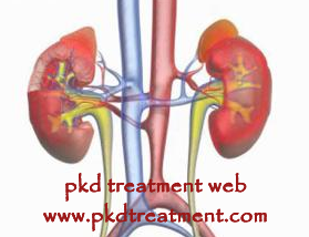 Difference Between Kidney Failure And Kidney Cyst 