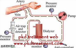Which Is Better, Peritoneal Dialysis (PD) Or Hemodialysis (HD)