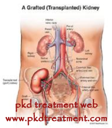 How and Why Does The Body Reject Transplanted Kidney
