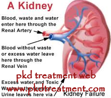 Creatinine 1.8 and Blood Urea 119 
