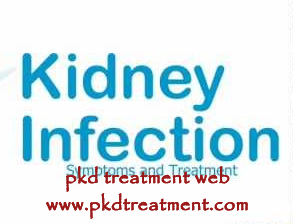 PKD and Kidney Cyst Infection