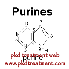 Kidney Dialysis Food Lists-Purine