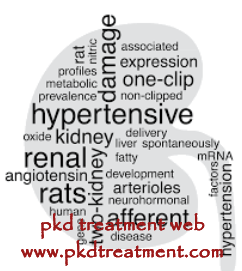 Improve Kidney Condition Is The Perfect Way to Treat Kidney Failure
