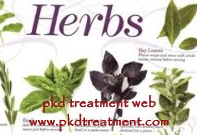 Are There Herbs for Polycystic Kidney Disease