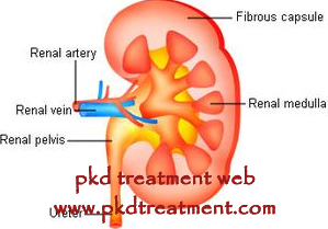 6.4 cm Kidney Cyst Is very Large for People