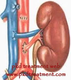 Children with a Single Kidney